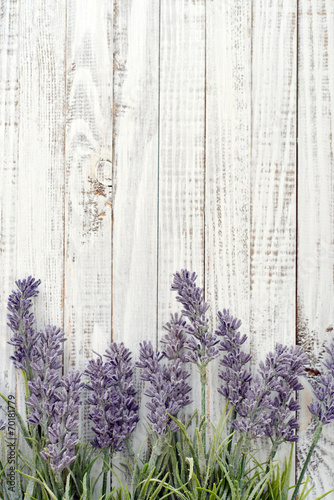 Fototapeta Naklejka Na Ścianę i Meble -  Bouquet lavender