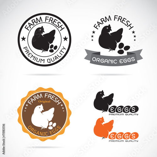 Set of vector an chicken and eggs label on white background