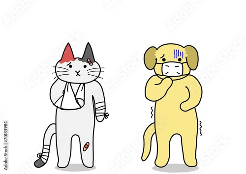 犬と猫、ケガと病気