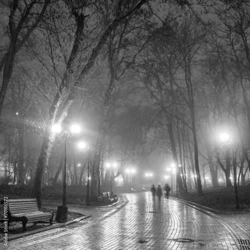 autumn city park at night