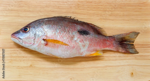 Red snapper fish on Wooden