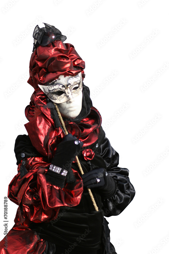 Elegant masked lady Elegant masked lady