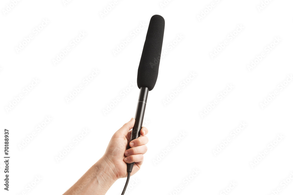 Person holding microphone Person holding microphone