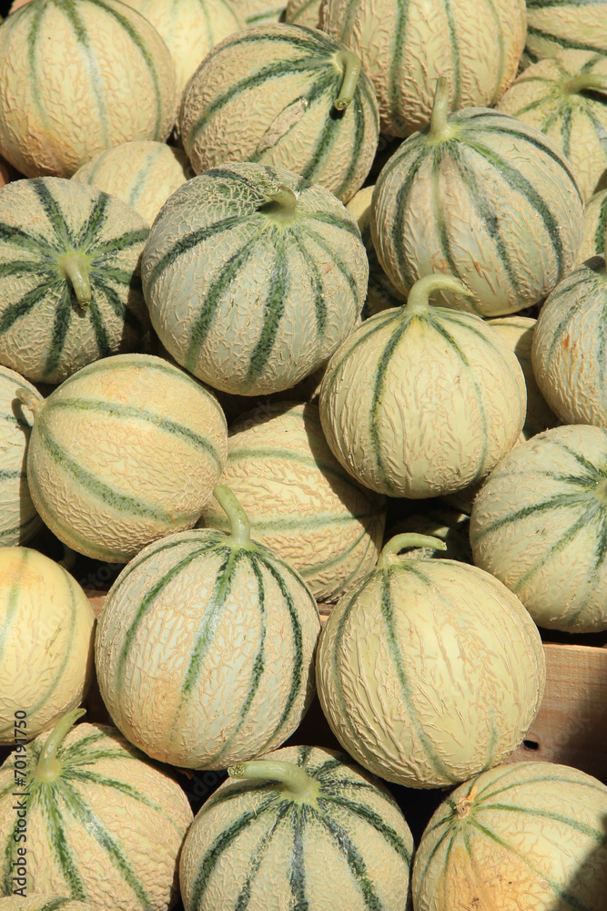 Melons Melons