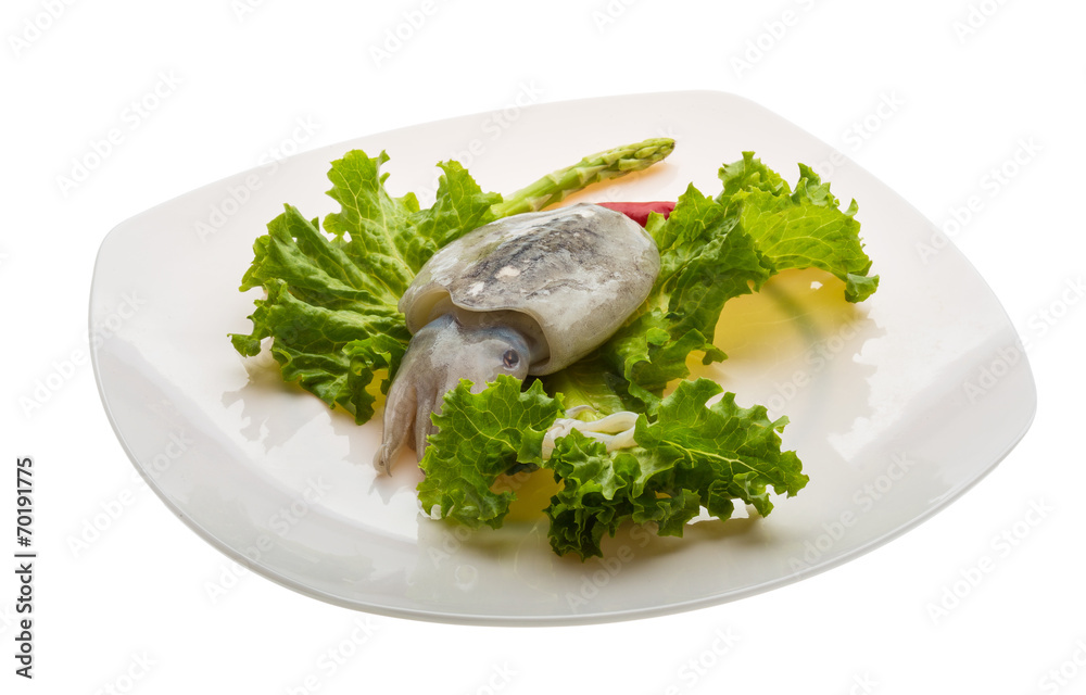 Raw cuttlefish Raw cuttlefish
