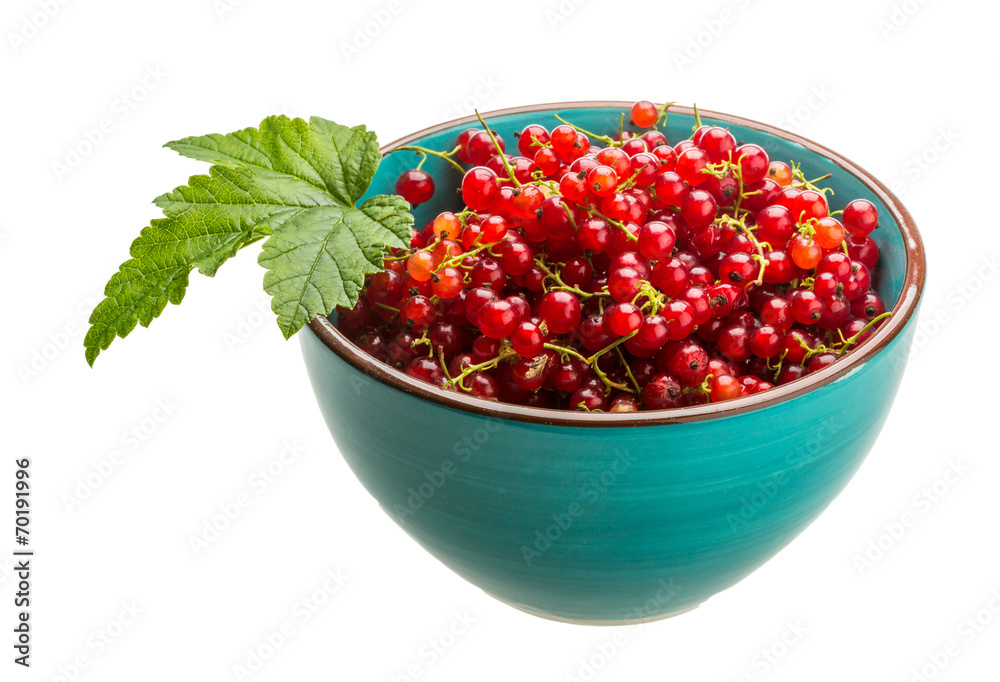 Red currant Red currant
