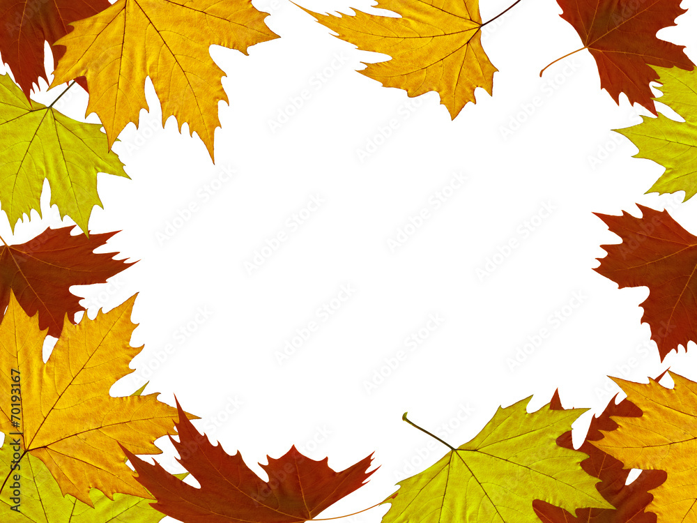 Autumn background Autumn background