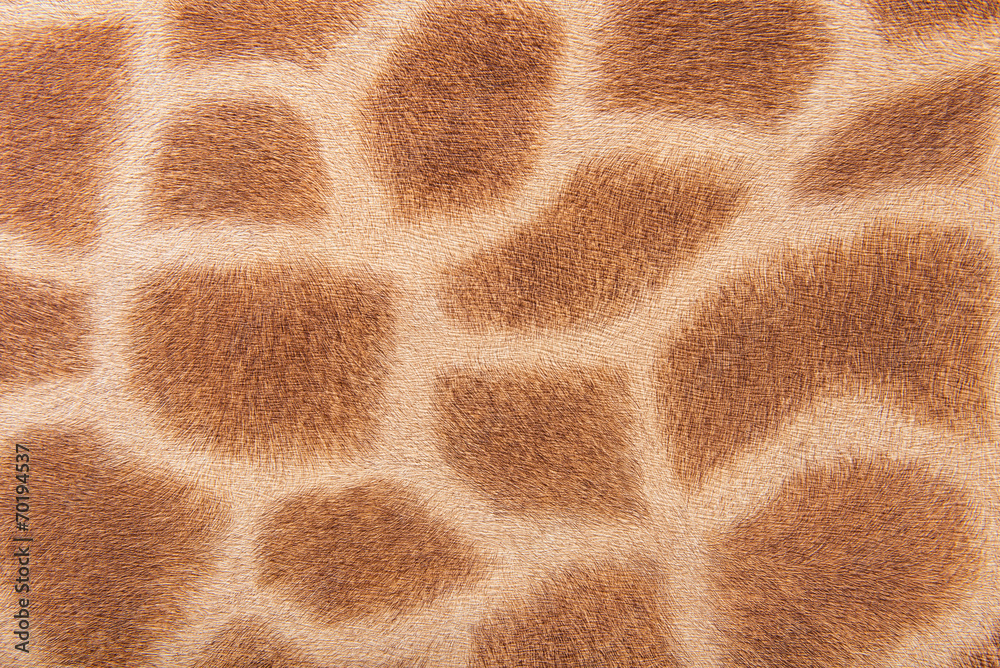 Giraffe fur, imitation background Giraffe fur, imitation background