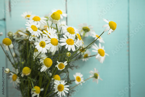 summer bouquet of chamomile on the old blue wooden background