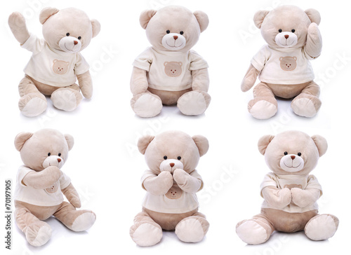 Teddy bears in different poses on white background
