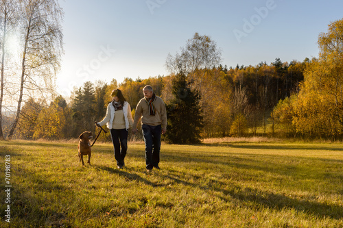 Couple walking dog autumn sunset landscape
