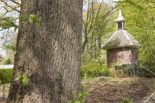 pigeon house in forest scenery