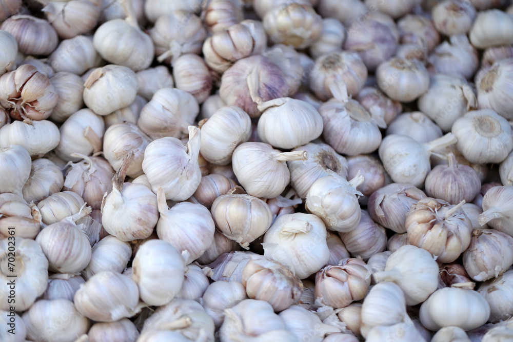 garlic in the fresh market. garlic in the fresh market.