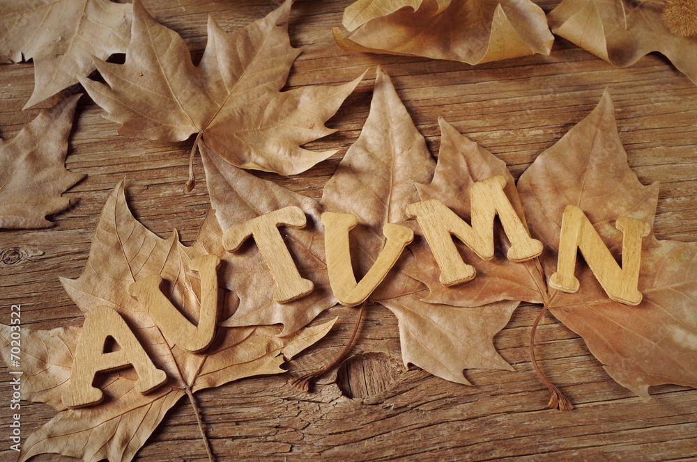 autumn autumn