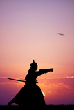 Samurai with sword at sunset