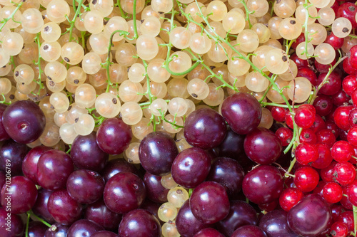 Berries
