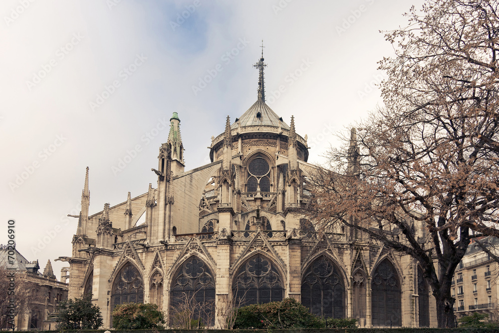 Fototapeta premium Notre Dame de Paris back View