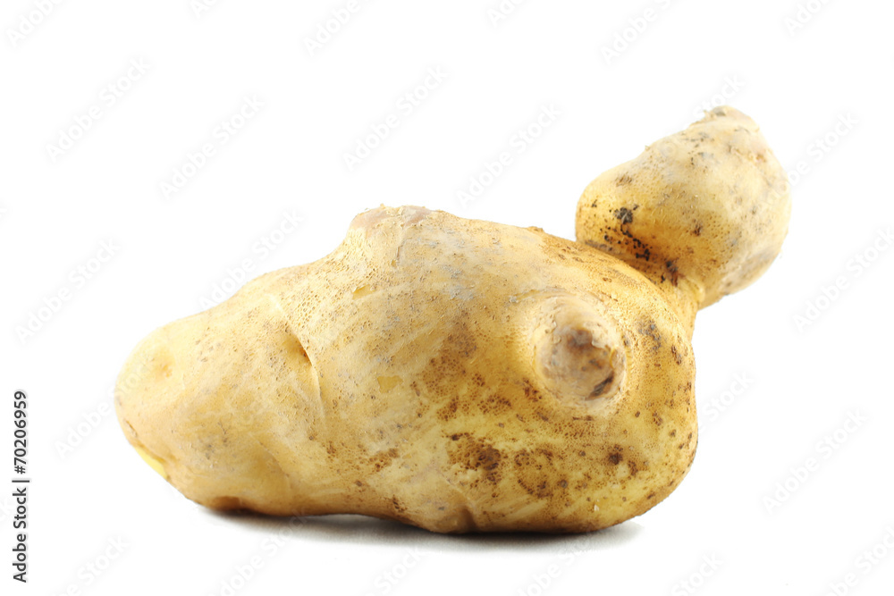 frische Riesensüßkartoffel
