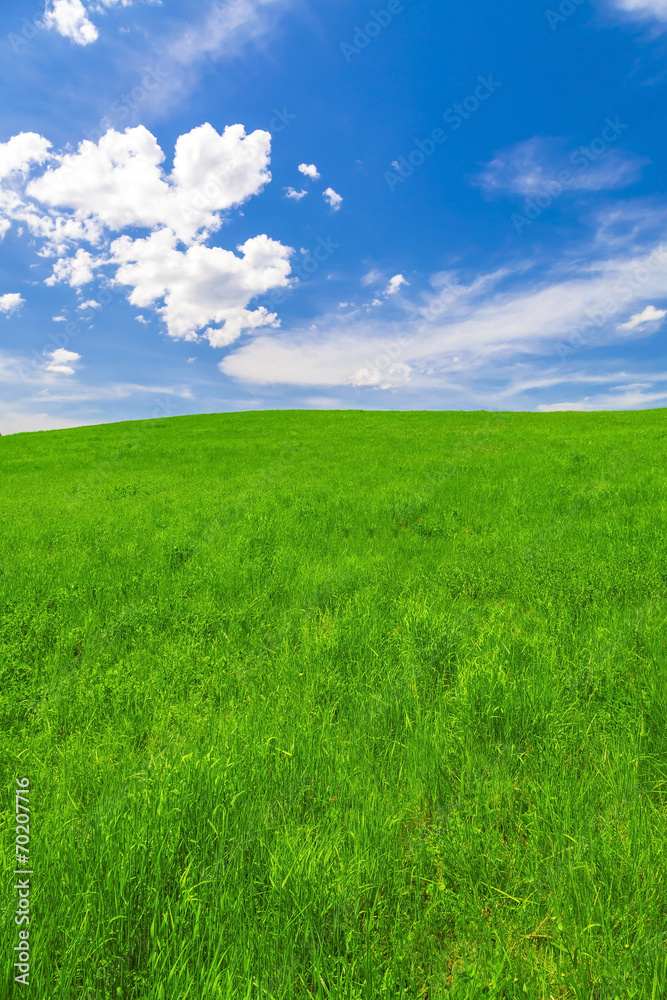Spring landscape, field and blue sky