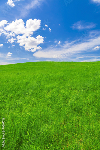 Spring landscape  field and blue sky