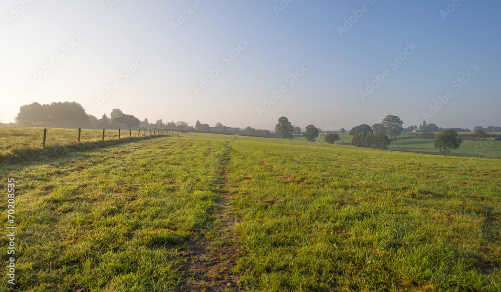 Track through a meadow at sunrise
