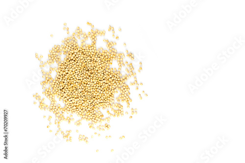Photos millet grain isolated on white background