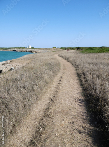 sentiero su punta pizzo