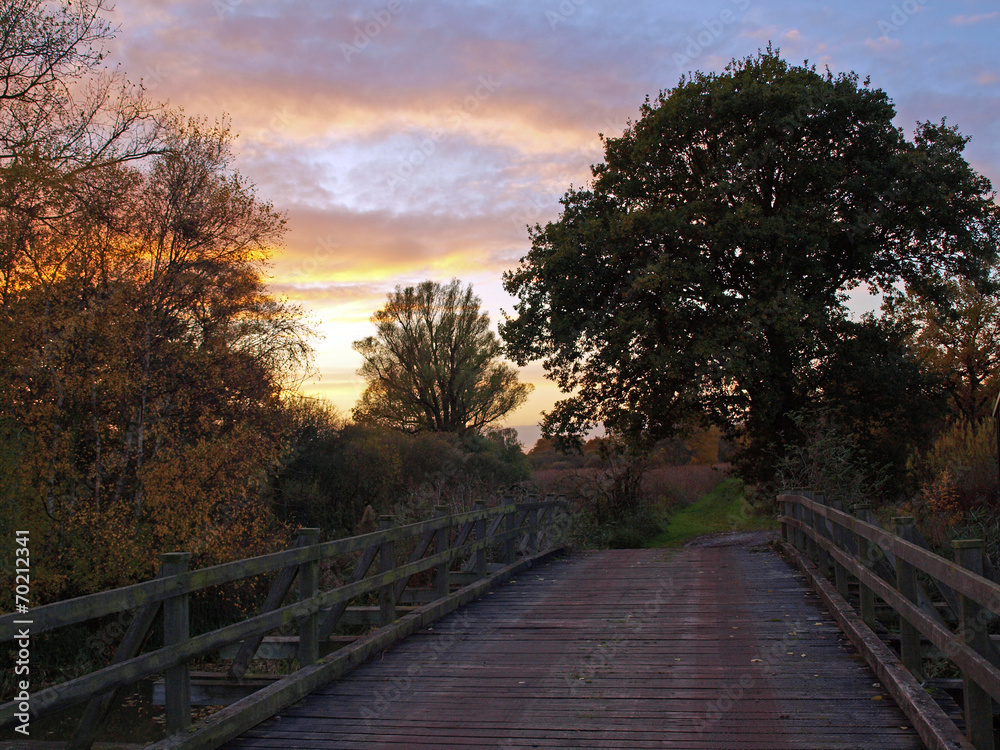 Autumn sunset on the Great Fen Project.