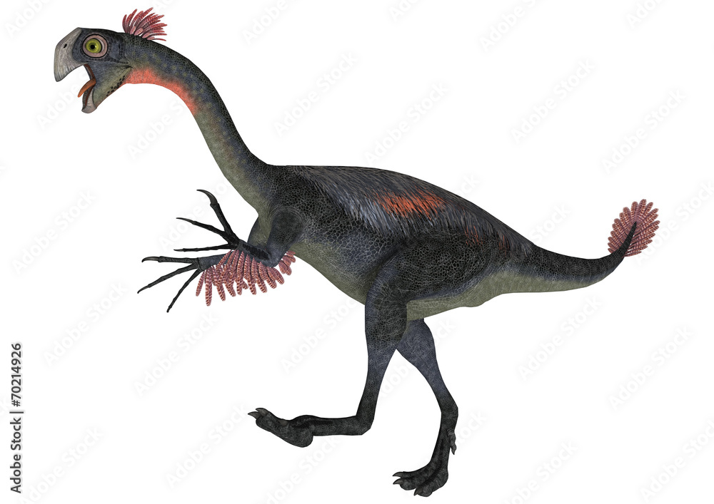 Dinosaur Gigantoraptor