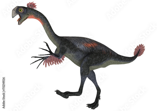 Dinosaur Gigantoraptor © photosvac
