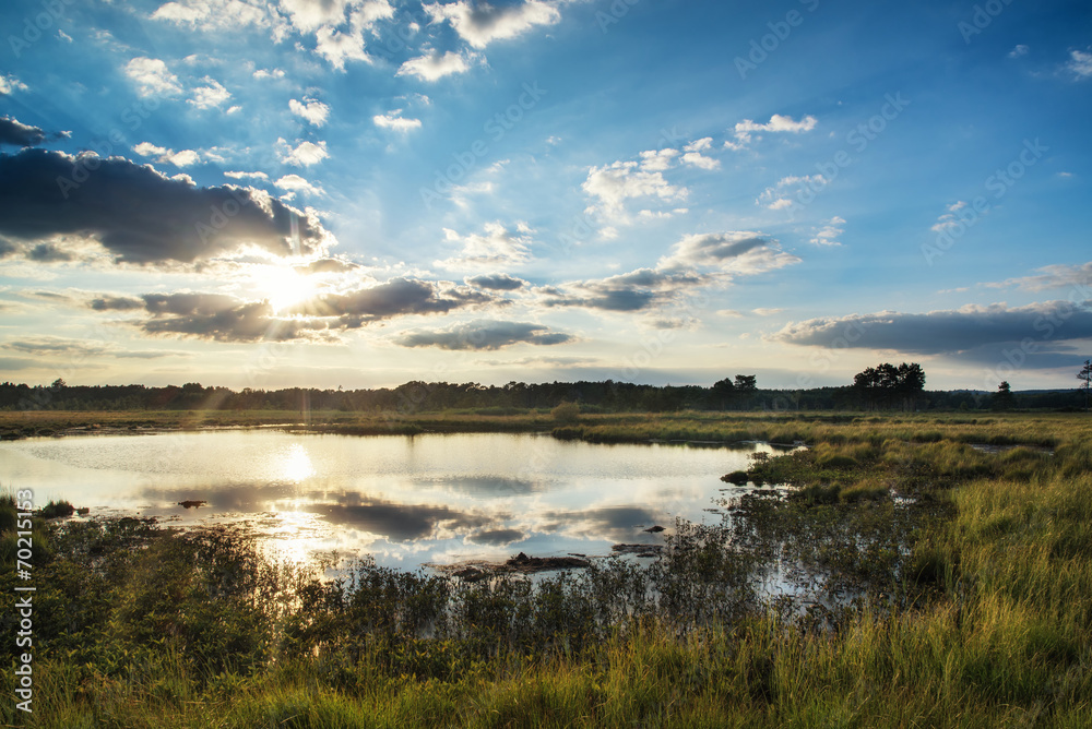 Naklejka premium Summer sunset landscape over wetlands