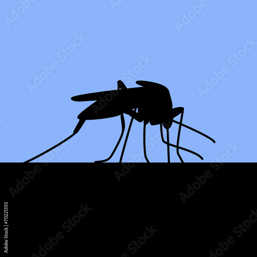 black silhouette of biting mosquito