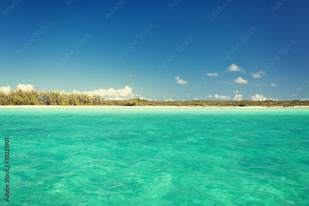 blue sea or ocean, beach and forest