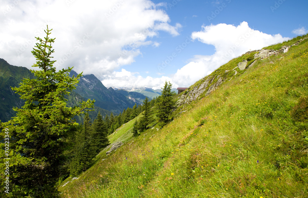 Fototapeta premium Stilluptal - Zillertal - Alpen