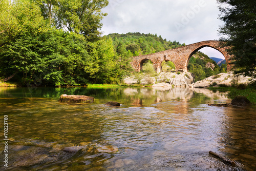 Medieval arched bridge over Llobregat river in Pyrenees