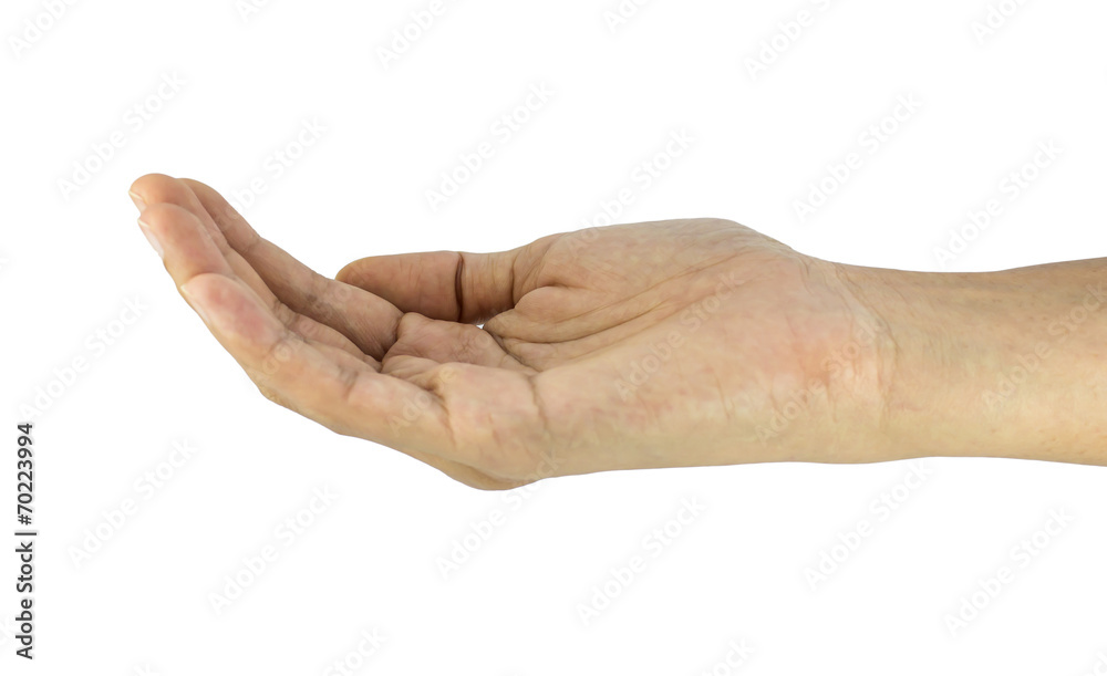 open the palm of the hand open the palm of the hand