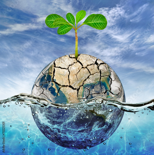Fototapeta Naklejka Na Ścianę i Meble -  Lonely plant in the parched earth submerged in the ocean