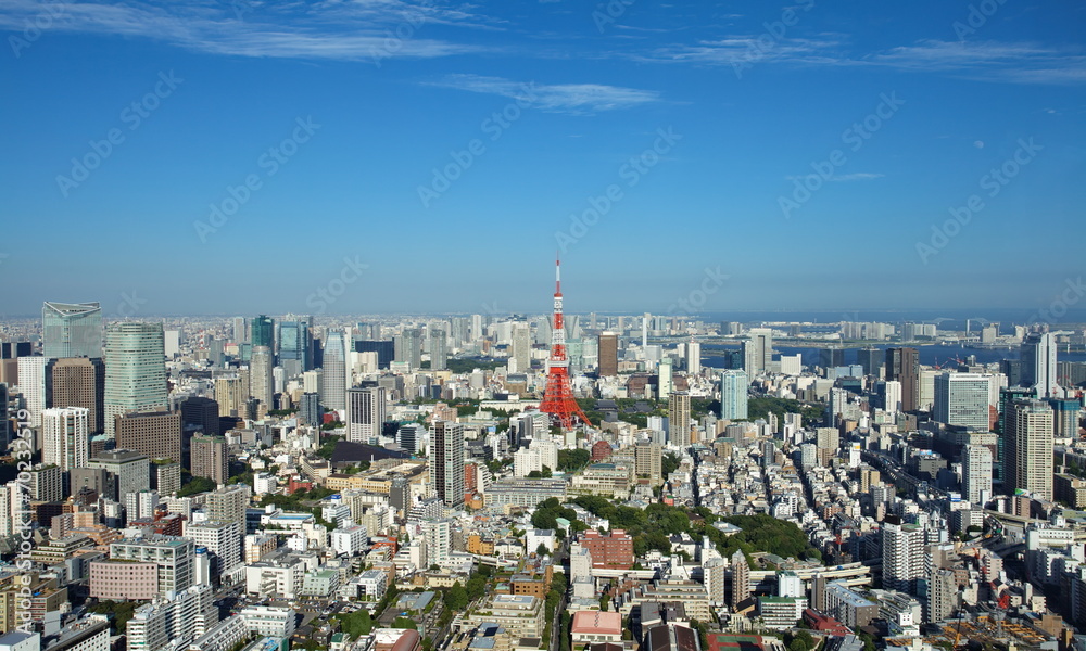View of Tokyo city and Tokyo tower
