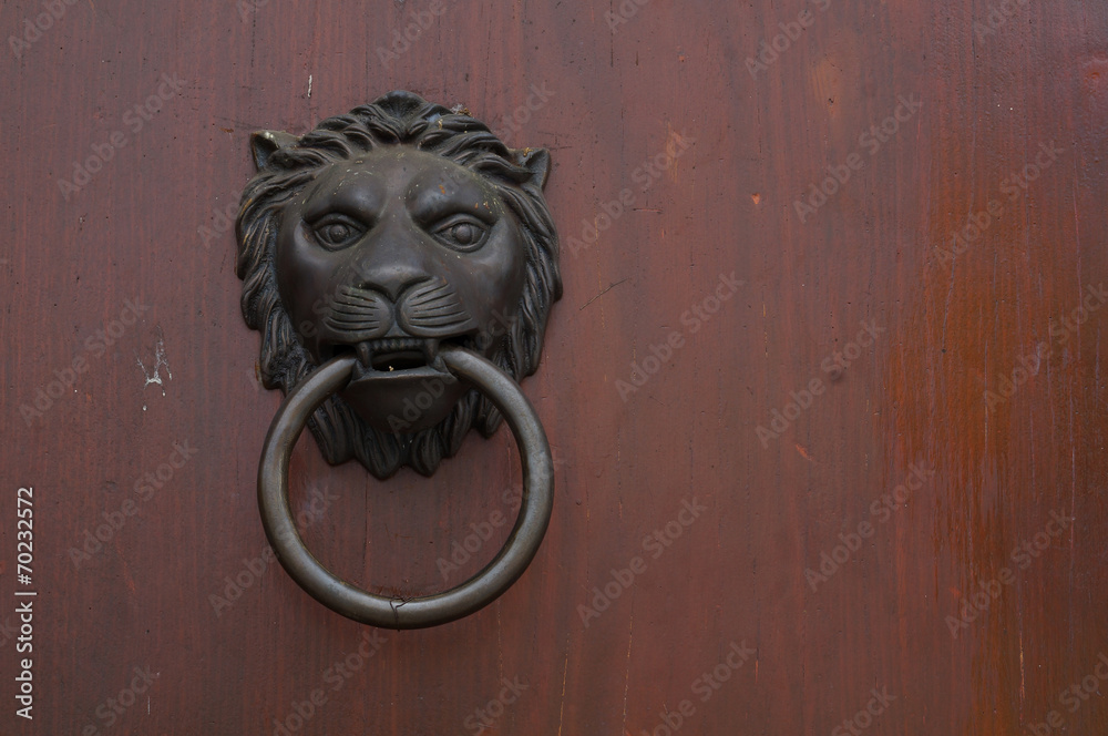 lion door wood