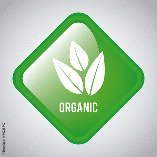organic food