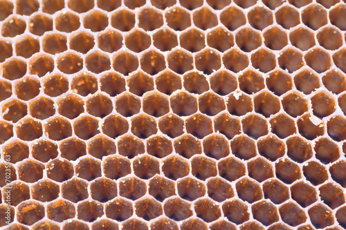 honeycomb