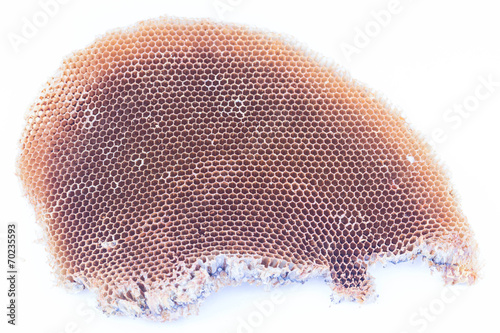 Honeycomb