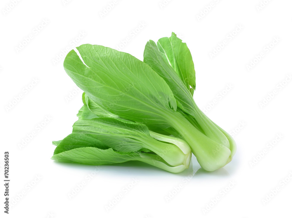 Bok choy (chinese cabbage) Bok choy (chinese cabbage)
