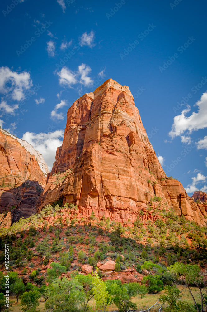 zion national park landscape