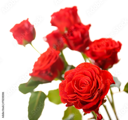 Bouquet of beautiful roses isolated on white