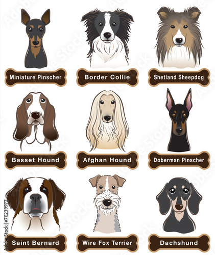 Dog / Nameplate