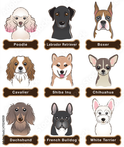 Dog / Nameplate