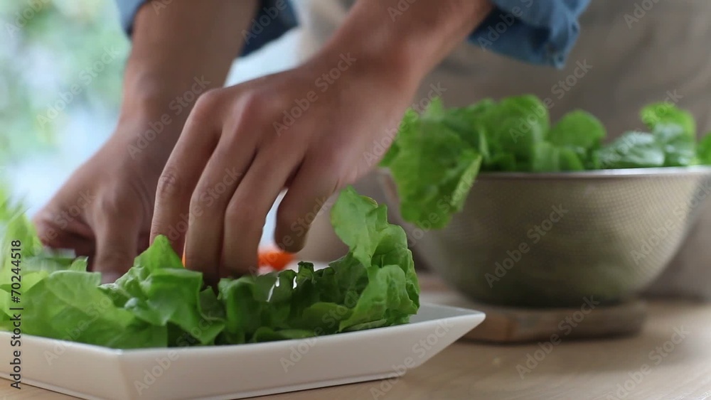 サラダの盛り付け1 サラダの盛り付け1