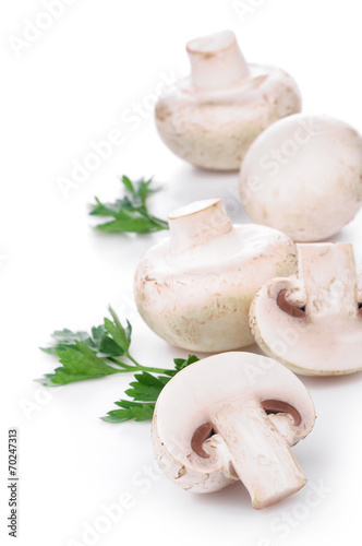Fresh champignon with green parsley isolated on white background
