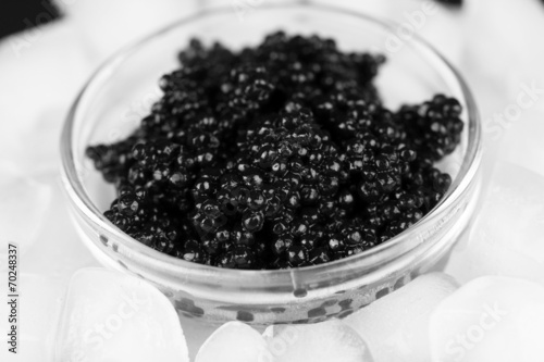 Black caviar in glass bowl and ice closeup